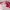 Disney Streetwear Fairy Hat Kids white pink photo 6