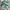 A Bathing Ape Bapesta 2021 photo 1