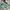 A Bathing Ape Bapesta 2021 photo 5