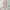 Dress Korea Vintage Polkadot Kerah Renda Lace Pink Peach photo 1