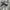 Kevin Bradley x Nike SB Blazer Zoom AC  photo 1