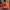 Streetwear Skater Hat Pria orange photo 1