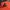 Streetwear Skater Hat Pria orange photo 2