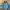 Blue Mountain Casual Jacket