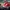 CONVERSE CT Red [[ RED PRODUCT]] / 41