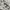 vest military tactical multi pocket rompi outdoor vintage he photo 6