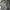 XEBEC Custom Patch Work Jacket photo 8