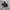 Vans Authentic Skate Pro Black photo 2