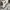 Nike x Stussy Air Zoom Spiridon Caged 2 photo 6