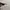 Oakley sunglasses OA5010 photo 3