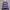 Kaos Stripe Purple photo 1