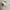 H&M Streetwear Y2K Hat Pria white photo 3