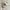 H&M Streetwear Y2K Hat Pria white photo 1