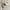 H&M Streetwear Y2K Hat Pria White