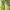 Casual Windbreaker Wanita green photo 1