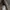 HUGO BOSS Wingtip Brogue Casual Boots photo 4