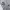 Converse Casual Hoody Pria gray photo 4