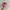 Vintage Y2K Hat Wanita white pink photo 2