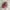 Vintage Y2K Hat Wanita white pink photo 1