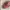 Vintage Y2K Hat Wanita white pink photo 3