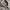 Brooks Brothers Long Sleeve Kemeja Boxy Shirt  photo 2