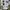 Issey Miyake Grunge Indie Casual shirt Pria white blue photo 2