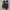 flatshoes  photo 5