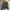 Adidas 80’s Parachute Jacket photo 6