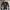 Adidas West Germany Down Jacket