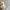 Disney Vintage Y2K Hat Pria white green photo 2