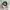 Disney Vintage Y2K Hat Pria white green photo 4