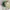 Disney Vintage Y2K Hat Pria white green photo 3