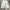 White Cargo Shorts By Fubu photo 4