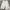 White Cargo Shorts By Fubu