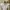 white crinkled top Hnm cocok buat kids photo 1