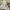 white crinkled top Hnm cocok buat kids photo 3