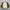 Lowrys Farm Casual Bomber jacket Wanita white green photo 1