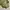 Lowrys Farm Casual Bomber jacket Wanita white green photo 5