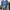 Knitwear pattern v neck Blue Jacknicklaus photo 1