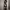 Long Drss