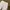 UNIQLO BAGGY JEANS PUTIH ORIGINAL photo 7