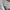 Kaos Avirex U.S.A military vintage photo 5