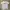Kaos Avirex U.S.A military vintage photo 1