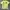Kaos AAPE By BAPE