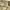 Vintage US Army Desert Camo 3DCU photo 5