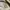 Vintage US ARMY Desert Camo 3DCU photo 7