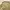 Vintage US ARMY Desert Camo 3DCU photo 5