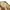 BDU DESERT CHOCO CHIP PATTERN 6-COLOR photo 4