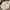 BDU DESERT CHOCO CHIP PATTERN 6-COLOR photo 6