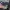 Sling Bag Camera Lowepro•seken• photo 5